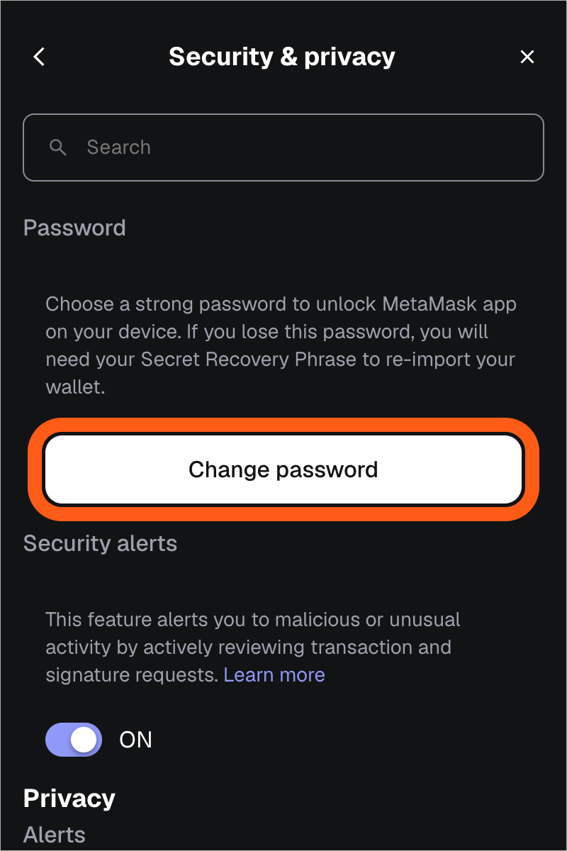 MetaMask extension security and privacy settings change password