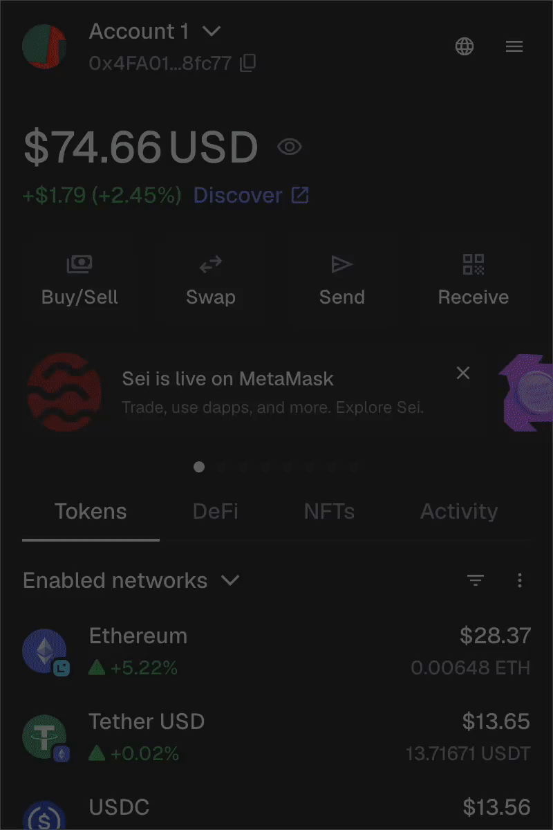 MetaMask Extension locate general settings